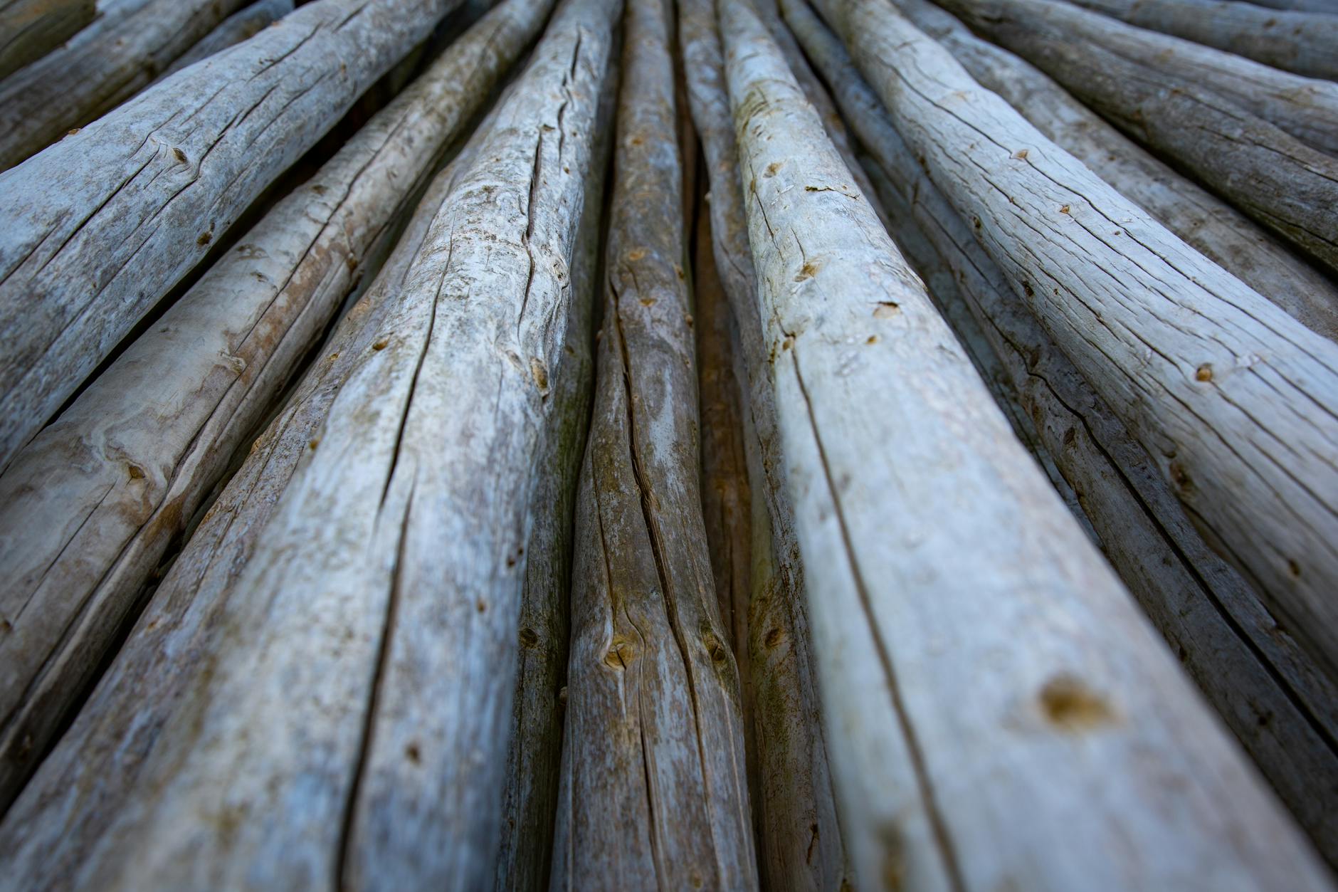 Detailed close-up of weathered wooden logs stacked outdoors in Mariager, Denmark.